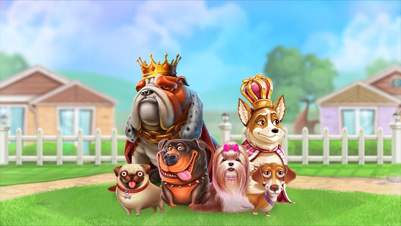 Online The Dog House slot icmalı